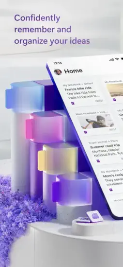 microsoft onenote notebook organization interface